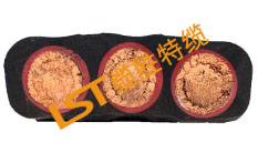 PUR扁电缆 PUR扁电缆