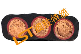 PUR扁电缆 PUR扁电缆