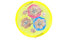 铲运机电缆 铲运机电缆