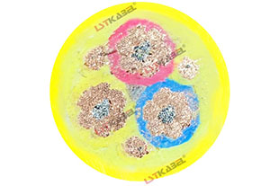 铲运机电缆 铲运机电缆